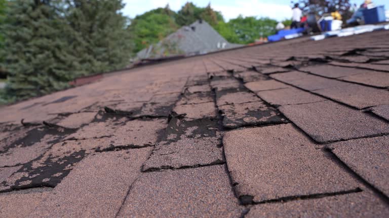 Best Wood Shake Roofing  in Lexington, SC