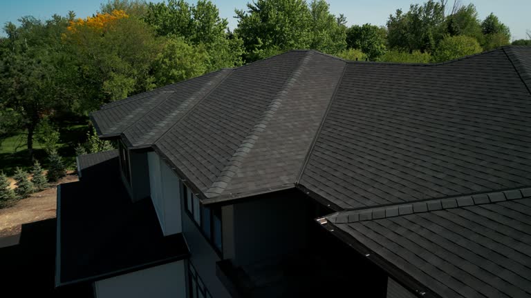 Best Sheet Metal Roofing  in Lexington, SC