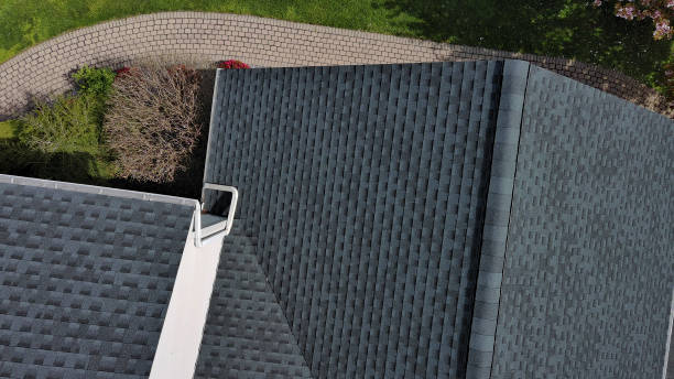 Best Roof Moss and Algae Removal  in Lexington, SC
